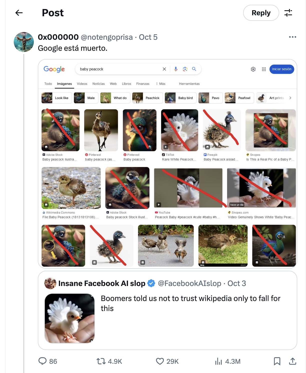 Screenshot showing AI-generated &ldquo;baby peacocks&rdquo; mixed with real images in search results